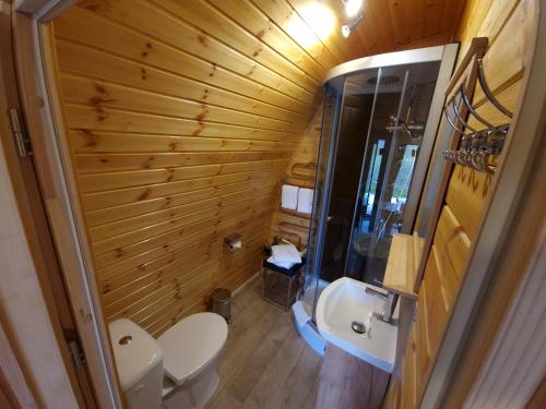 a small bathroom with a toilet and a sink at 09 Premium Camping Pod "Hambuger Hallig" in Silberstedt