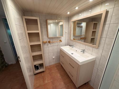 a bathroom with a sink and a mirror at GITE LA FREYDIERE in La Bégude-de-Mazenc