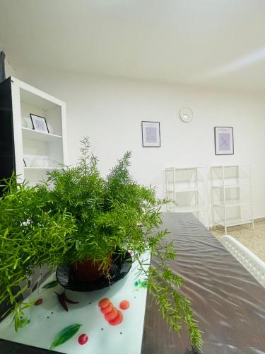 Alicante Family Home Stay PARKING