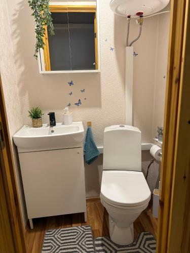 a bathroom with a white toilet and a sink at Andsuuria Apartment in Paide
