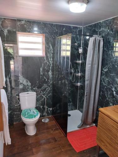 a bathroom with a toilet and a shower at Le coin des Maripas in Quesnel