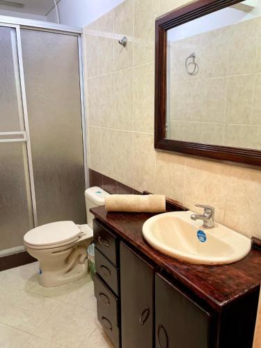 a bathroom with a sink and a toilet and a mirror at La finca de dulce in Silvania