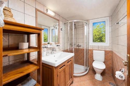 a bathroom with a toilet and a shower and a sink at Villa Gardenia in Vlachopoulátika
