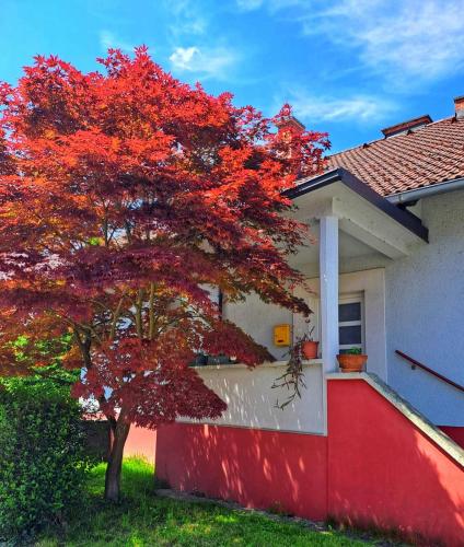 Family Apartment near Terme Čatež - 4C