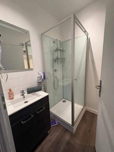 a bathroom with a shower and a sink and a mirror at Coudert l Petit studio côté rue l Rez-de-chaussée en Hypercentre & climatisé in Castres