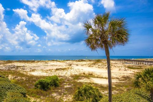 a palm tree on a sandy beach near the ocean at Plantation East #4113 in Fort Morgan
