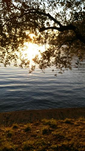 a view of a body of water with the sun setting at Appartamento Bella Isola in Monte Isola