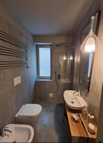 a bathroom with a toilet and a sink and a shower at Cèsa Cusenza in Rocca Pietore