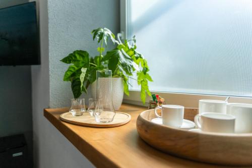 a wooden counter with cups and glasses and a plant at Rezidence 14 Nový Bor in Nový Bor