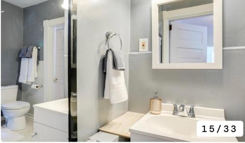 a bathroom with a sink and a toilet and a mirror at Swimming Under The Stars In The Historical District in Lynchburg