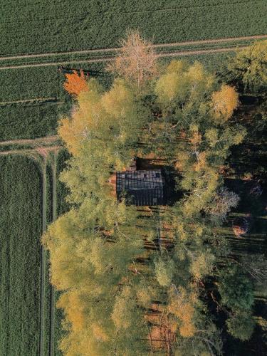 an overhead view of a group of trees in a field at Skryta Chata Ojców in Smardzowice