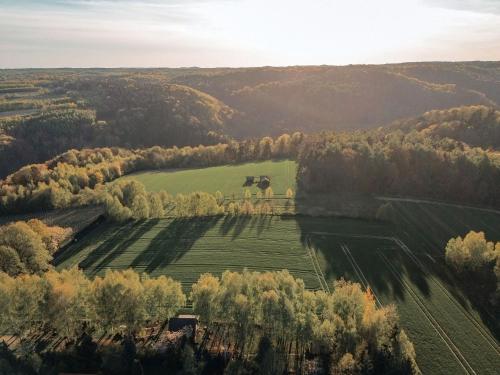 an aerial view of a field with a cow at Skryta Chata Ojców in Smardzowice