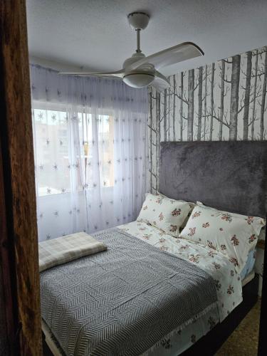 a bedroom with a bed with a ceiling fan at Sky Apartment in Miramar