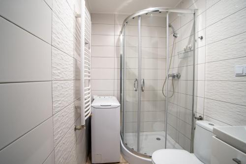 a white bathroom with a shower and a toilet at ALE WIDOKI Apartamenty Gościnne in Giebło