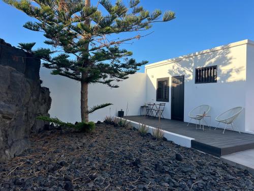 a house with a pine tree on a deck at Habitación de invitados Casa Lume in Tahiche