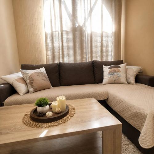 a living room with a couch and a coffee table at Apartments Barocco in Golubac