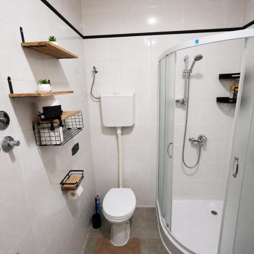 a bathroom with a toilet and a shower at Apartments Barocco in Golubac