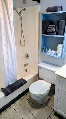 a bathroom with a white toilet and a shower at Silver Surf Motel in Yachats