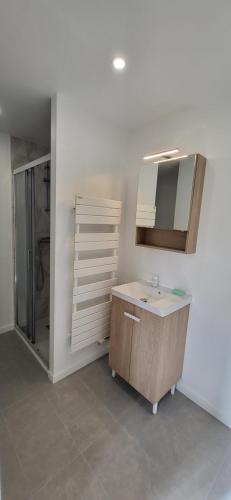 a bathroom with a sink and a shower and a mirror at Maison au calme in Nogent-sur-Eure