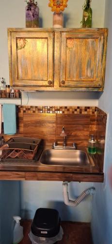 a kitchen sink with wooden cabinets above it at CHIK Coatepec Comfort in Coatepec