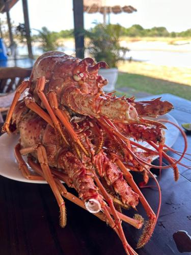 a large lobster on a plate on a table at GAVOA Beach FLAT in Água Boa