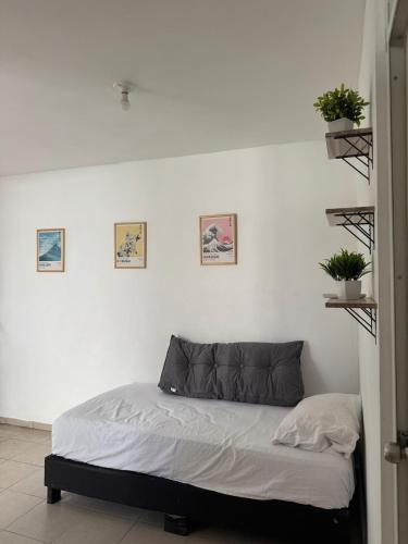 a bed in a white room with plants on the wall at Equipped house in Salinas industrial zone in Ciudad Satelite del Norte