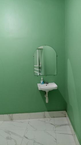 a green bathroom with a sink and a mirror at Nanda Harum Villa in Sangyang