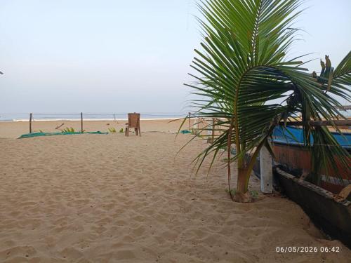 a palm tree sitting on a sandy beach at Avish Dubbansasi Beach stay Resort Gokarna in Gokarn