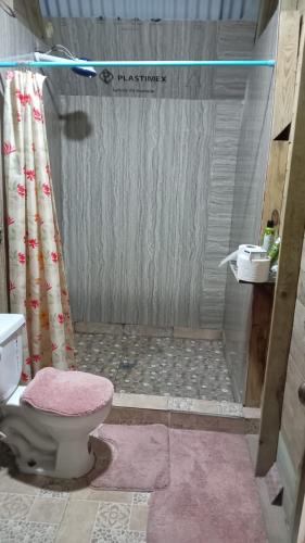 a bathroom with a shower with a toilet at Mi Terraza Hostel in Almirante