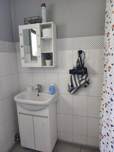 a bathroom with a sink and a mirror at Ventisqueros Coyhaique in Coihaique