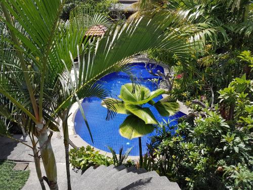 Un jardín fuera de Jos & Hanny Homestay