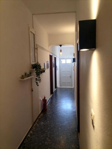 Icarus Rooms