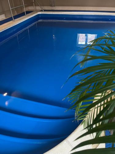 a blue swimming pool with a plant next to it at Middlewick Holiday Cottages in Glastonbury