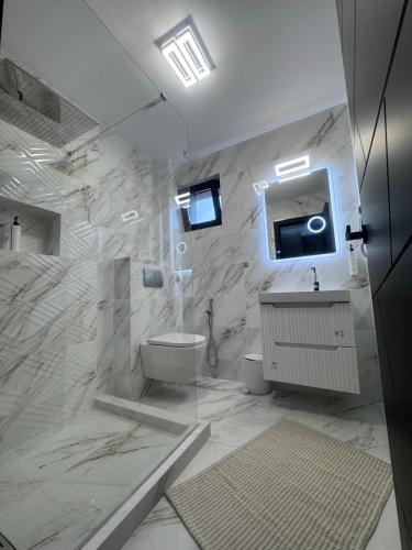 a bathroom with a shower and a toilet and a sink at Pensiunea EUPHORIA in Sviniţa