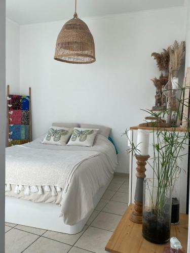 Cosy et élégant