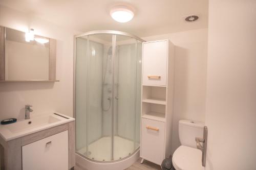 a bathroom with a shower and a toilet and a sink at L'évasion authentique du Vercors in Saint-André-en-Royans