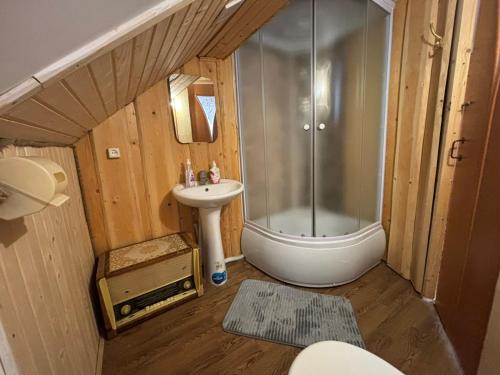 a small bathroom with a shower and a sink at Gostynnyi Dvir u Marichky in Lazeshchyna