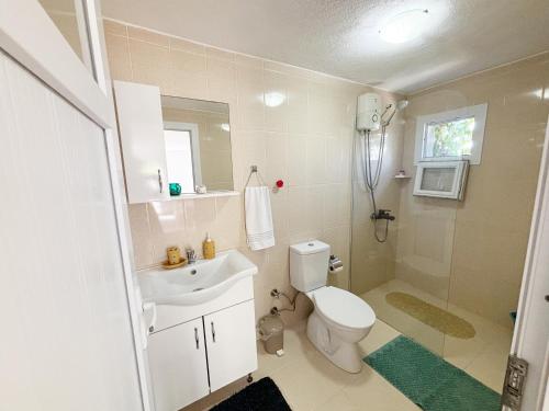 a bathroom with a toilet and a sink and a shower at Small House in Bodrum in Milas