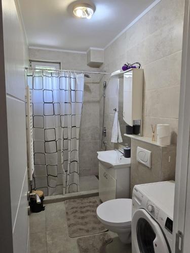 a bathroom with a shower and a toilet and a sink at Apartman Palma in Belgrade