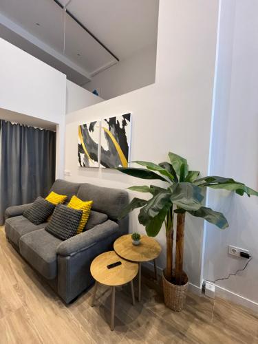 LOFT Accommodative B photo 17