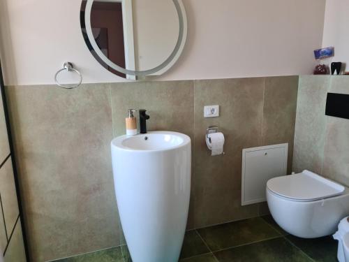 a bathroom with a sink and a toilet and a mirror at Garden of Silance in Cîrcea