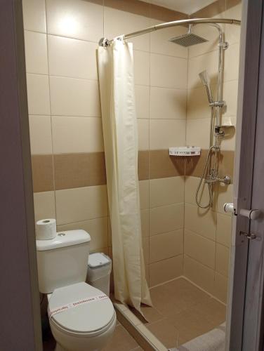 a bathroom with a toilet and a shower at Studio Panagiota in Kavála