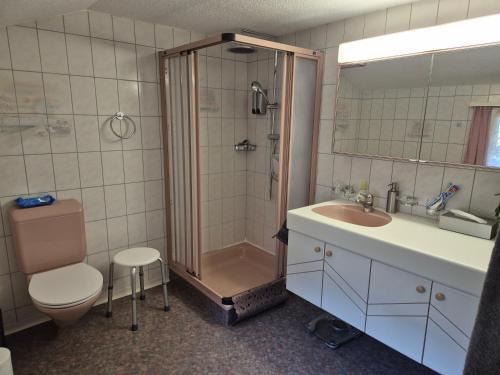 a bathroom with a shower and a sink and a toilet at Nenis Hüsli in Diesbach
