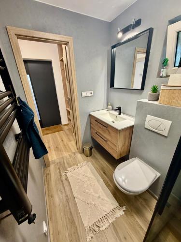 a bathroom with a toilet and a sink and a mirror at Ateliér Smutná in Ostrava