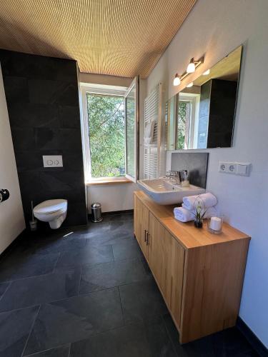 a bathroom with a sink and a toilet and a mirror at Schwarzwaldhotel Schmitz in Todtmoos