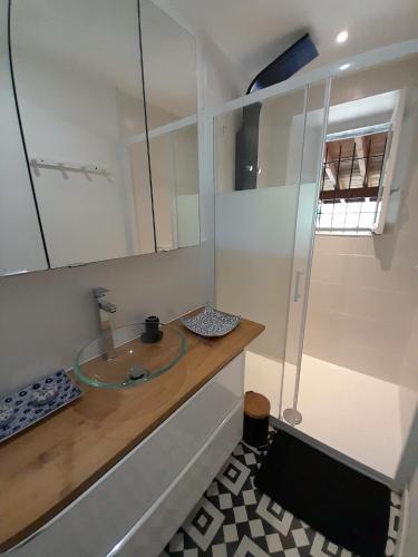 a bathroom with a sink and a mirror at Les Gîtes de Roucayrols in Pampelonne
