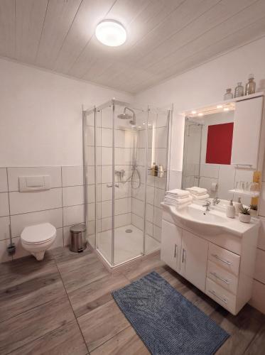 a bathroom with a shower and a toilet and a sink at Ferienwohnungen Stark in Kelheim