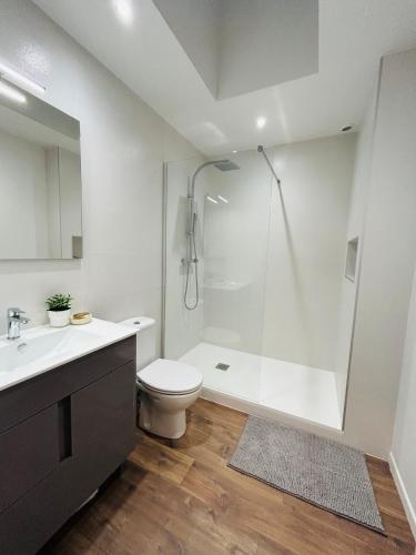 a bathroom with a shower and a toilet and a sink at Downtown High Standing Duplex - "CENTRUM" in Épernay