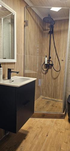 a bathroom with a shower with a sink and a sink at Casa Caius in Văliug