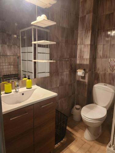 a bathroom with a toilet and a sink and a mirror at Studio proche de la mer in Calvi